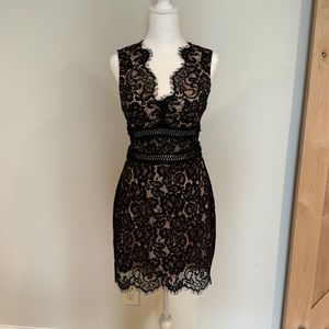 Lace Party Dress by Quiz Europe